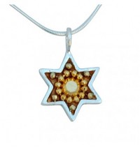 Golden Star of David Necklace